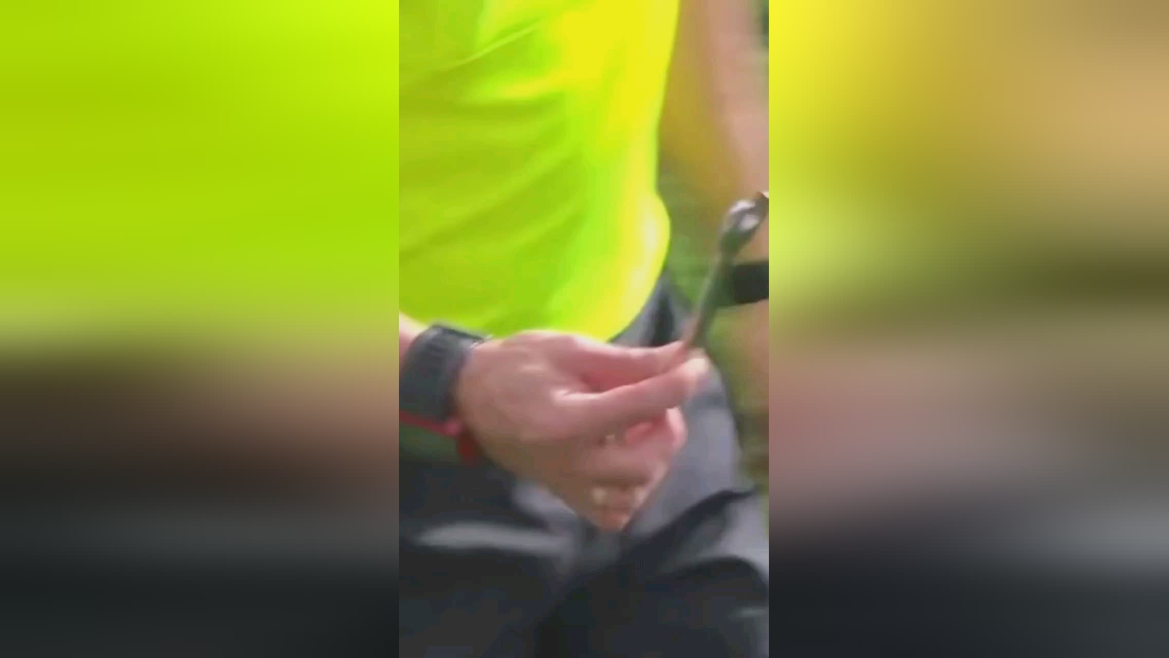 是什么让